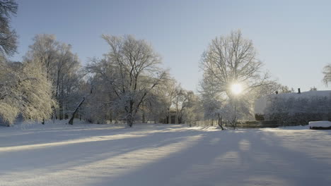 Winterszene-Mit-Frostigen-Bäumen-Und-Einem-Nordeuropäischen-Häuschen-Aus-Dem-Frühen-20.-Jahrhundert-Im-Hintergrund