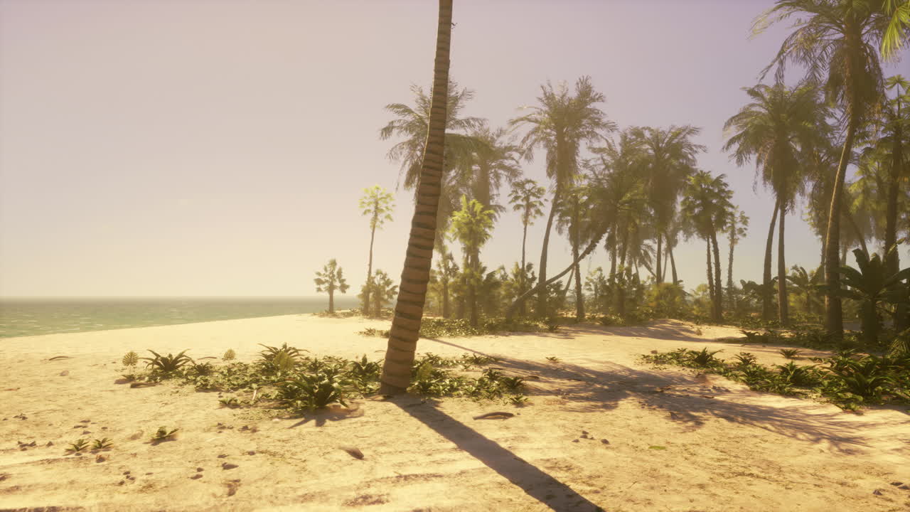 야자수와 열 대 해변