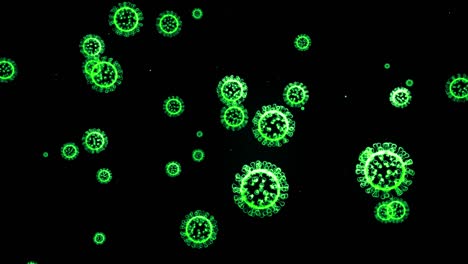imagen holográfica brillante verde de coronavirus como el virus covid-19 o el virus de la gripe vuela en el aire o flota suavemente en fondo negro. animación 3d en 4k en bucle. para presentación informativa.