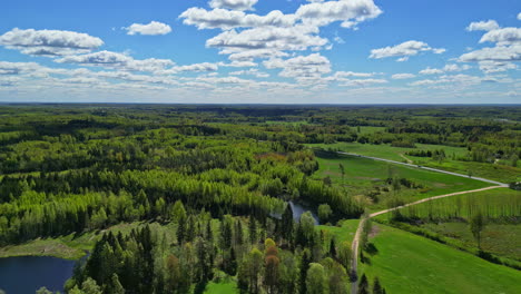 Luftpanorama-Der-Sommerlandschaft-Mit-üppiger-Grüner-Wiese-Und-Wald-Mit-See