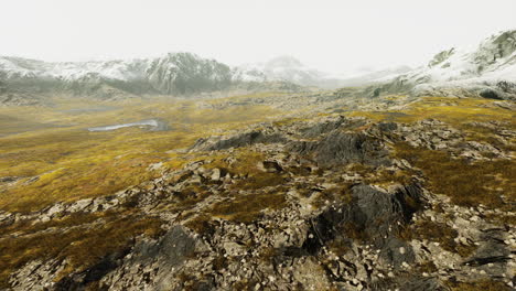 aerial view of snowy mountains and grassy valley