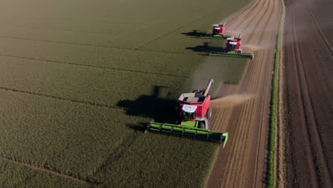 combine harvesters harvesting wheat field