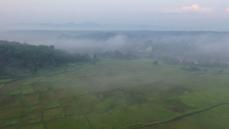 Misty Landscape with River and Rice Paddies