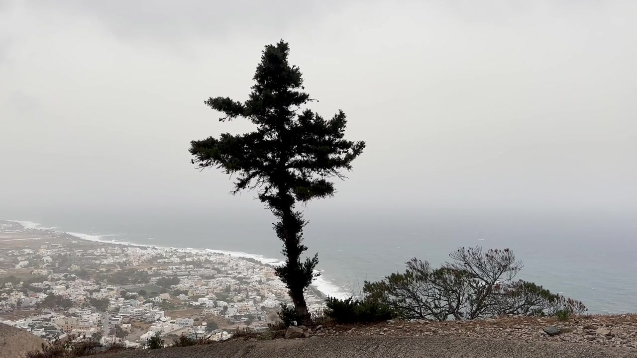 Vista panoramica di un cipresso solitario che si affaccia su una città imbiancata a calce e un mare nebbioso a Santorini, Grecia. La collina rocciosa incornicia il paesaggio costiero sotto un cielo coperto.