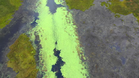 aerial flying over the calm green waters of shirley bog in the maine countryside with reflections of the ominous cloudy sky above