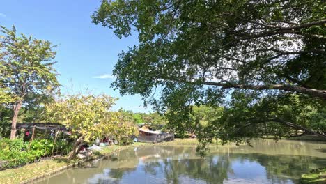 time-lapse of a tranquil park pond scene.