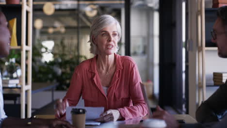 steering the meeting in the direction of success