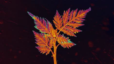 vibrant close-up of radiant green leaves under enhanced lighting, capturing the intricate patterns and textures of nature in stunning color contrast