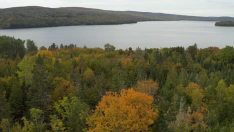 Hermosa-Vista-Del-Lago-Rangeley-En-Maine-Con-Hojas-Coloridas-En-Primer-Plano