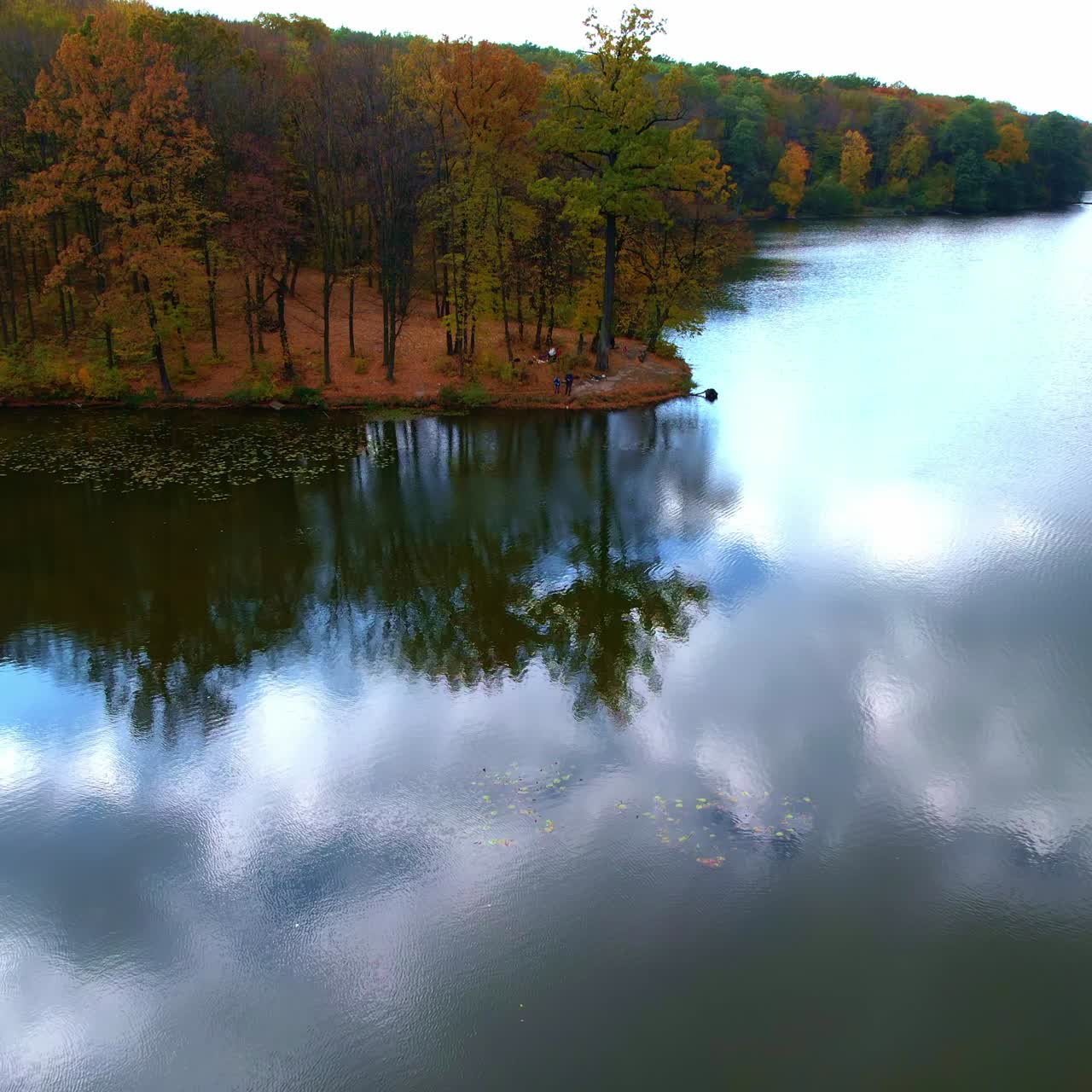 People having active rest at the river bank. Drone footage approaching the waterfront covered with multicolored trees. Top view