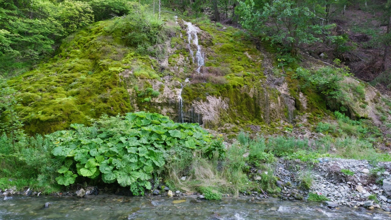 Air terjun kecil di atas batu tufa berlumut yang mengalir ke sungai pegunungan. Batuan kapur