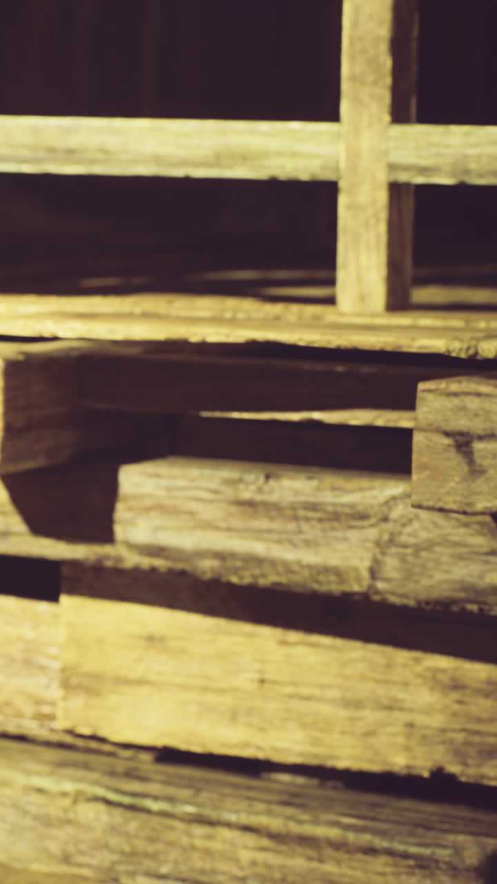 Trame di legno formano una composizione affascinante in un'esposizione artistica