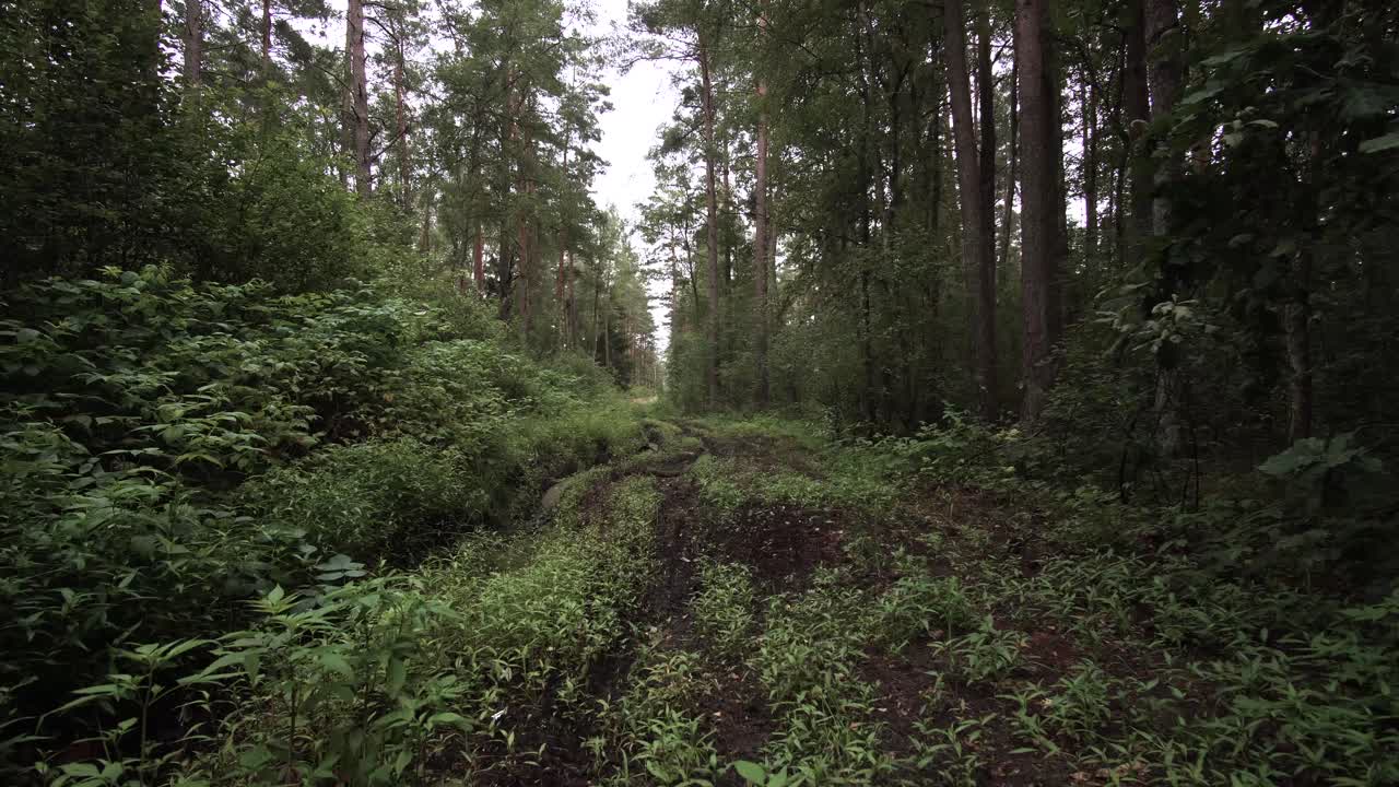 Ecco cosa fanno i trattori per la strada forestale in condizioni di bagnato