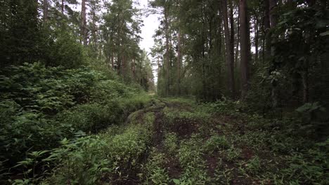 Esto-Es-Lo-Que-Hacen-Los-Tractores-Por-El-Camino-Forestal-En-Condiciones-Húmedas