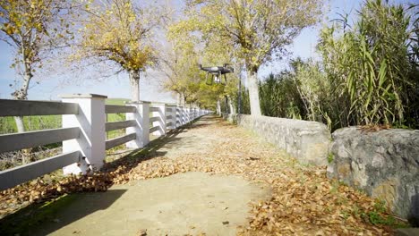 Drone-landing-over-a-footpath,-dry-leaves-fly