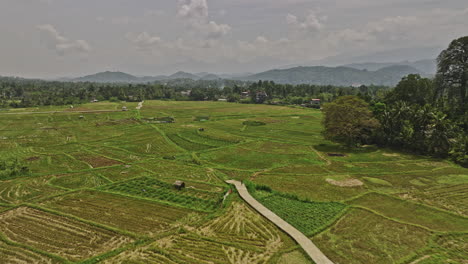 Matale-Sri-Lanka-Aerial-v5-low-drone-flyover-vast-ploughed-farmlands-along-AB26-Road-capturing-nestled-residential-suburbs-and-scenic-hillside-mountain-views---Shot-with-Mavic-3-Cine---April-2023