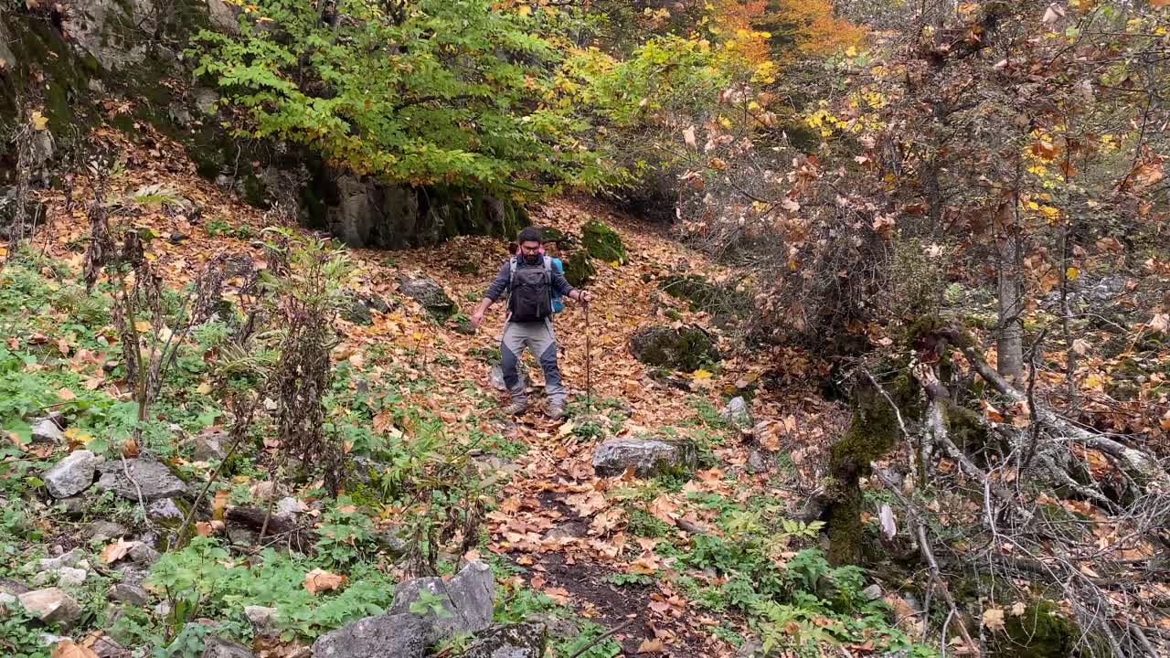 hombre caminando en el bosque de otoño