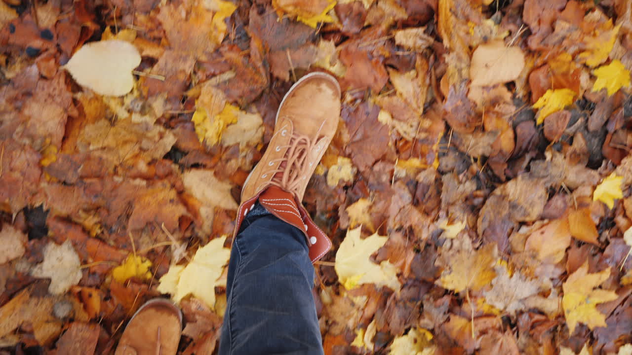 piernas femeninas con botas caminan sobre hojas de otoño caídas