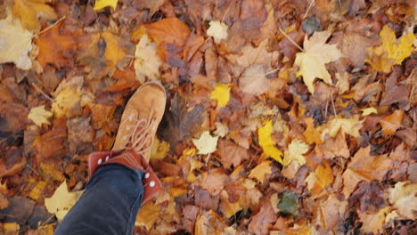 Weibliche-Beine-In-Stiefeln-Gehen-Auf-Gefallenem-Herbstlaub