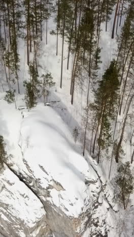 snowy forest with rocky outcrop