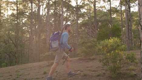 male hiker walking in forest