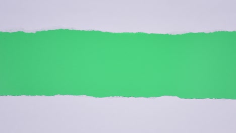 torn paper transitions on green screen background