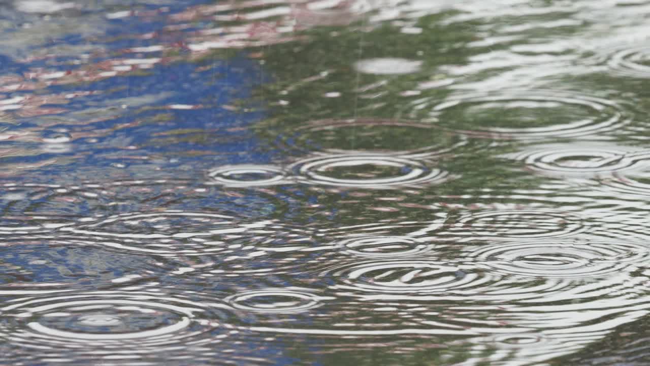 거리의 한가운데에 있는 웅이에서 물방울이 흔들리고 있습니다.