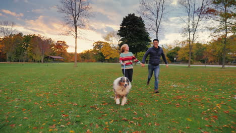 Junges-Paar-Hand-In-Hand-Mit-Einem-Hund-Im-Park-Spazieren-Gehen-5