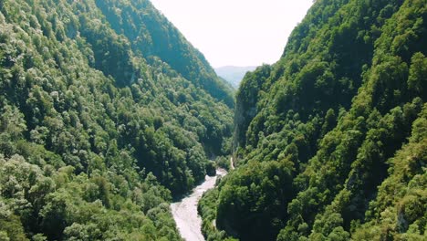 mountain valley with river and lush forest