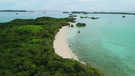 Fiji-island-forest-seen-from-above-with-drone