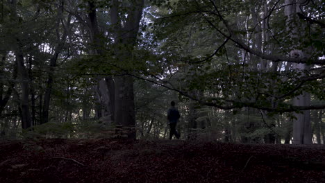 casual adult male walking along sombre forest path from right to left