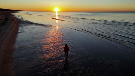 Aerial-view-of-person-is-walking-on-the-beach-at-sunset