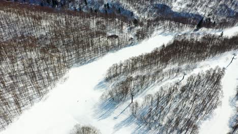 The-aerial-view-of-Fukushima