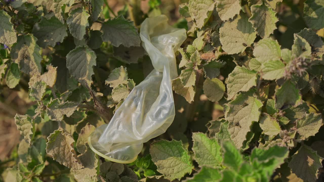 Used condom disposed of in public