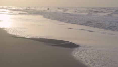 Log buried in the sand, being hit by the waves of the sea shore during sunset