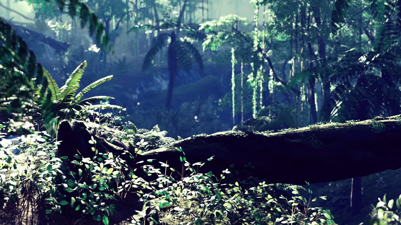 Lush tropical rainforest environment captures vibrant plant life and sunlight