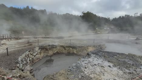 在 sao miguel 的 furnas 炉