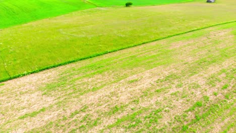 vista aérea de drones de exuberantes campos verdes de verano