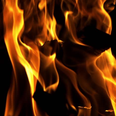 bonfire. the fire is lit in the night. slow motion