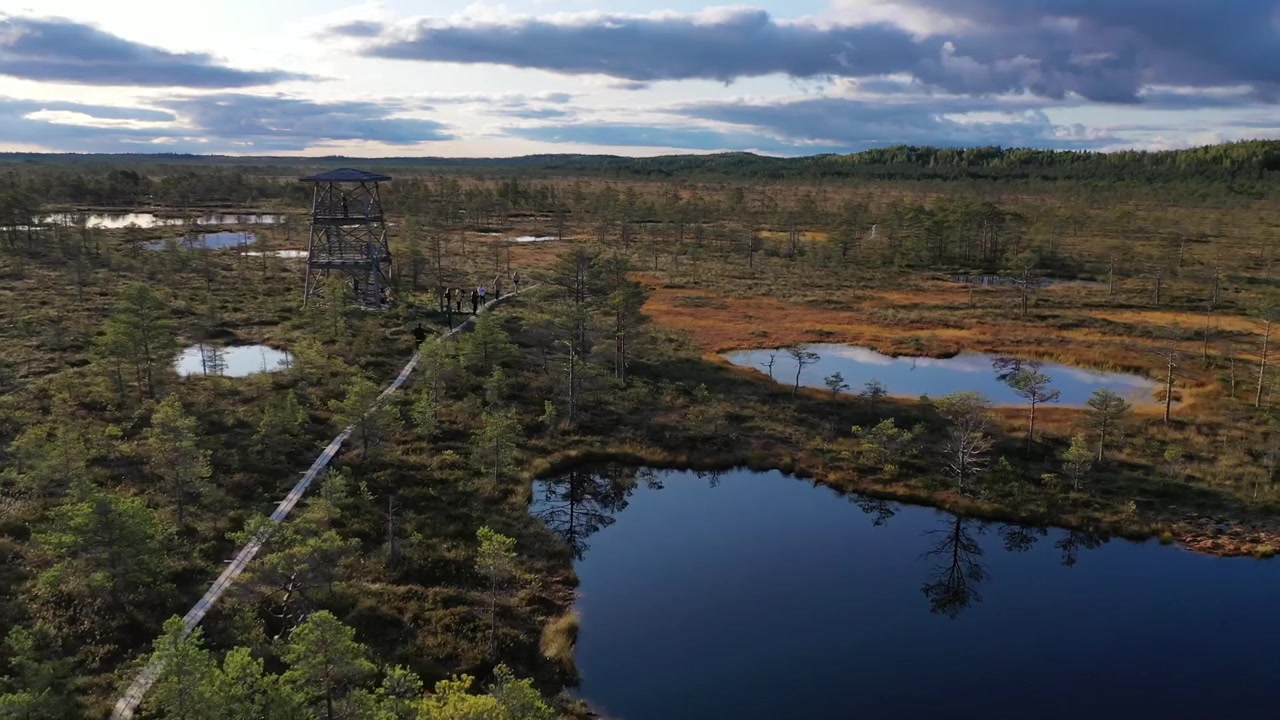 Luftfoto af en mand, der løber på en træsti gennem en stor sumpet mose i Estland. Scenen viser gyldne efterårsfarver, forkrøblede fyrretræer og reflekterende tørvebassiner under en overskyet solnedgangshimmel.