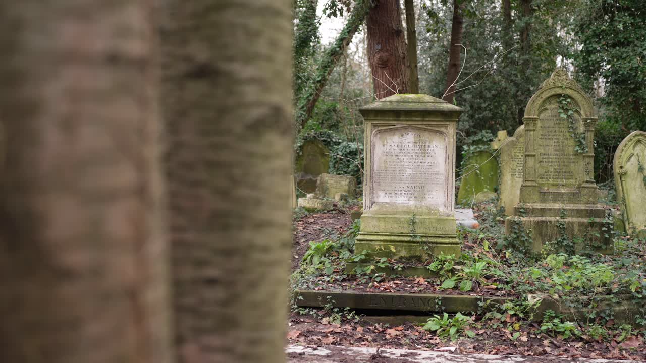 Gravestones covered in moss in a forest graveyard on a cloudy day
