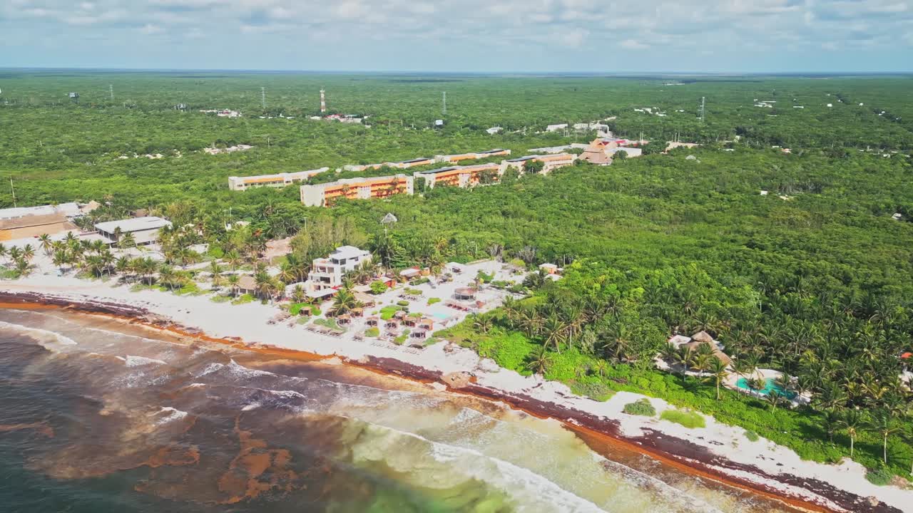 Beach paradise resort accommodation, tropical jungle, invasive algae