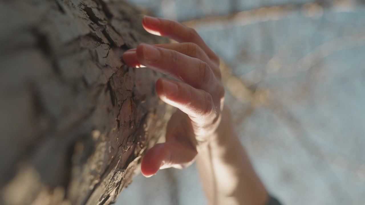 Close up of hand with painted nails gently touching textured bark of tree trunk. interaction highlights fine details in skin and rough natural material under soft daylight creating warm
