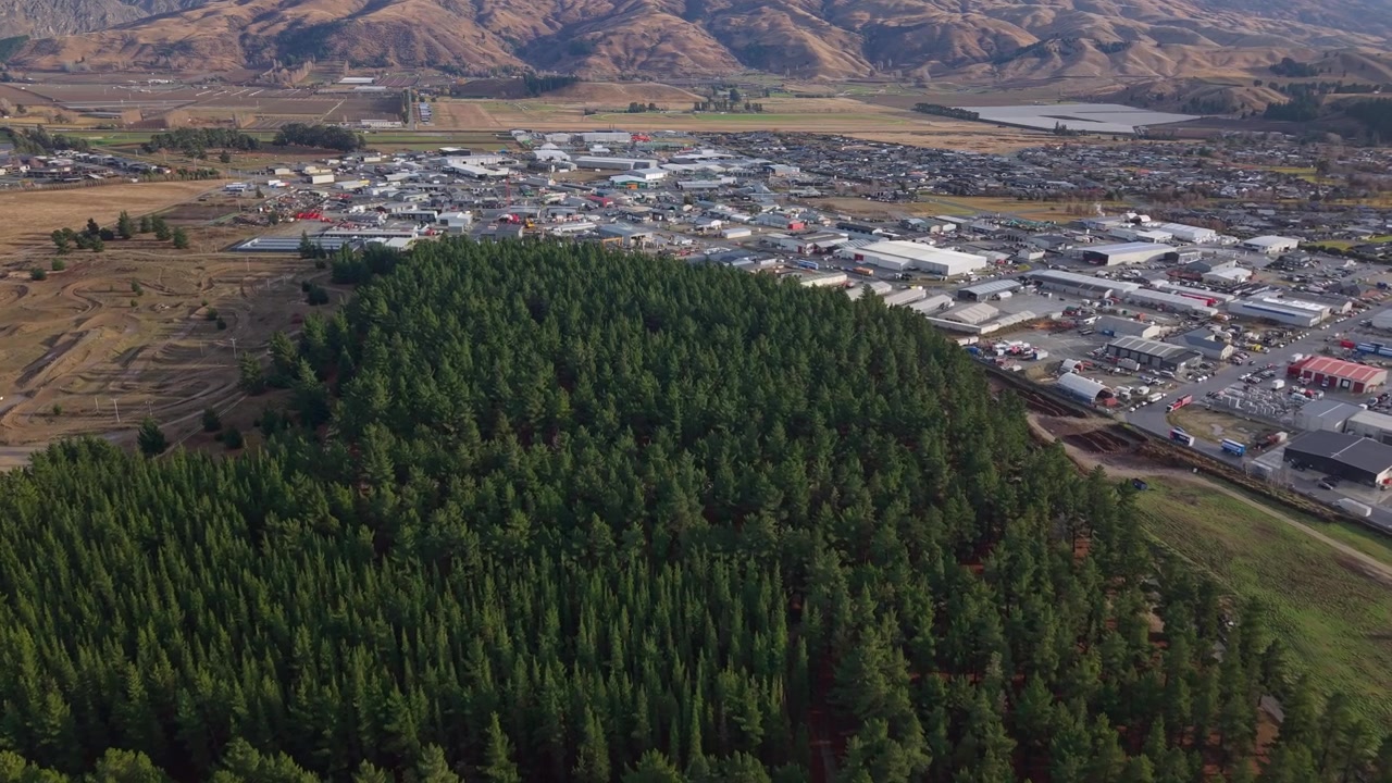 Riprese aeree con drone di una pineta che confina con una zona industriale con magazzini, edifici commerciali, catene montuose sotto la luce chiara del giorno, Cromwell, Nuova Zelanda