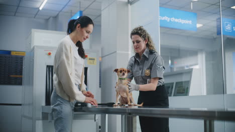 airport security inspection of a dog