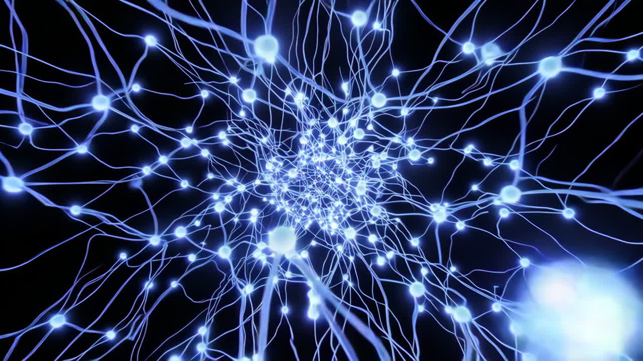 Neurons and Neural Network Visualization