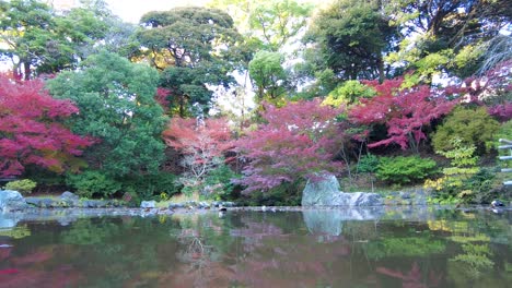 La-Belleza-Del-Parque-Yokohamashi-Nogeyama