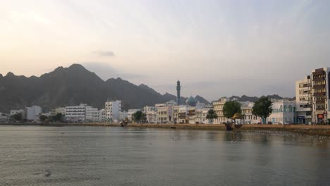 muscat, omán - 9 de febrero de 2021: mutrah corniche durante el amanecer con gaviotas volando y clima tranquilo