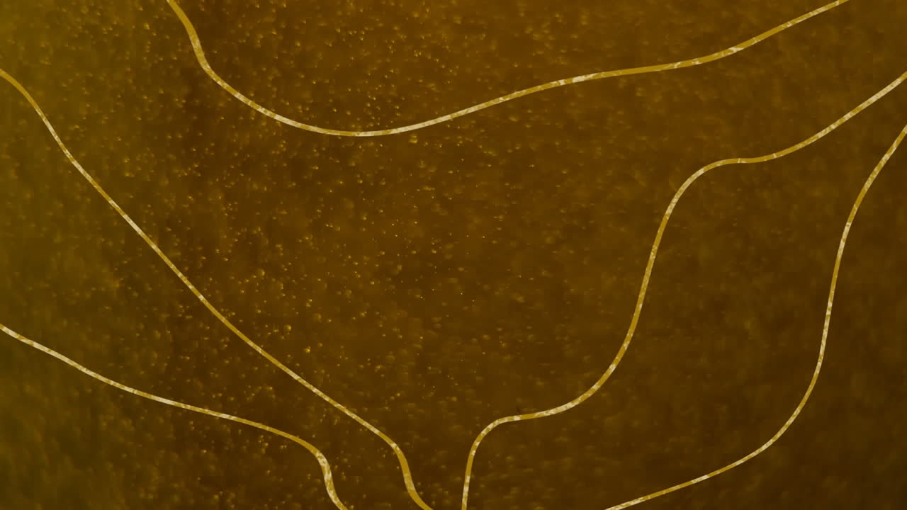 animación de formas y ollas de luz sobre fondo negro