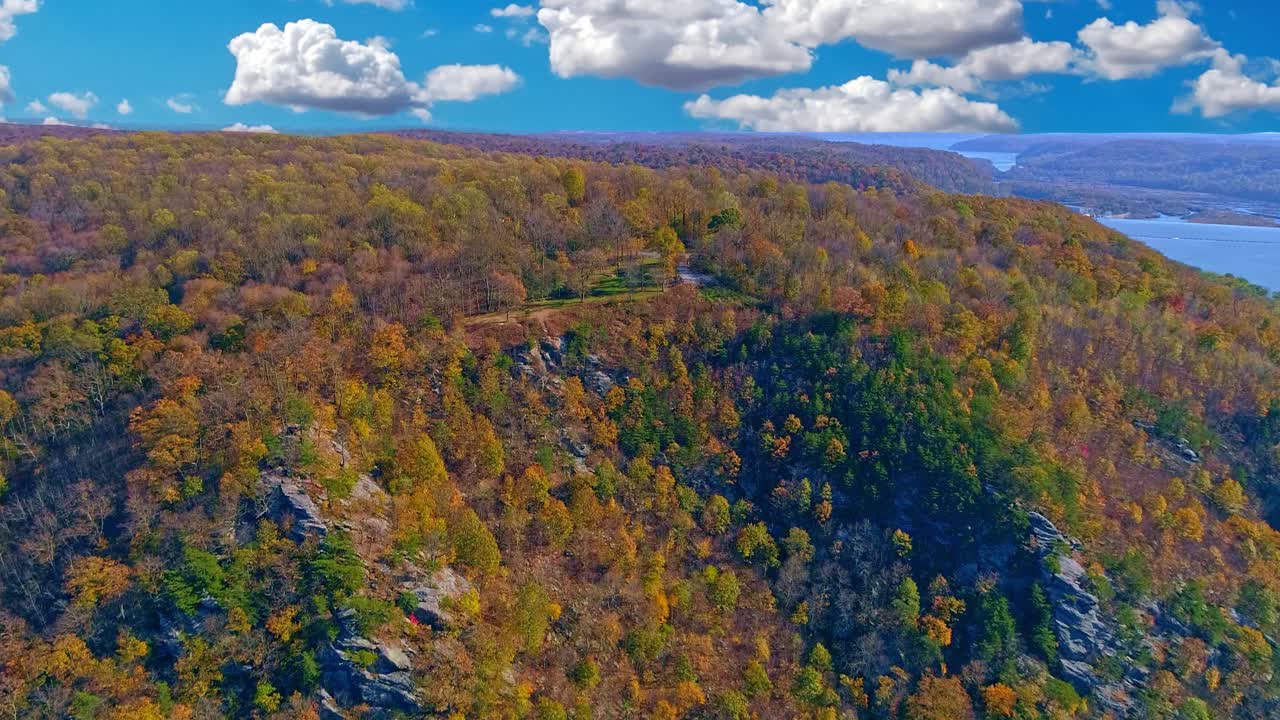 vista aérea de los colores de los árboles de otoño a lo largo de un río importante en un día soleado de otoño